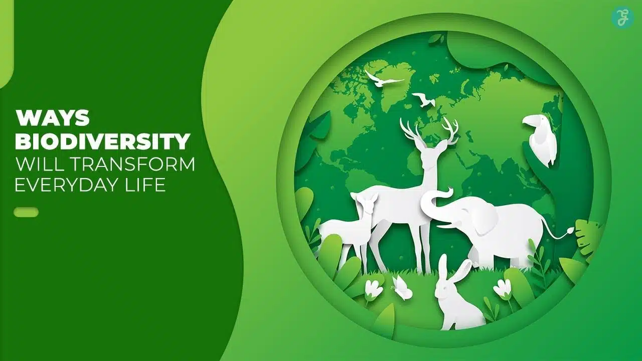 how biodiversity affects our daily lives