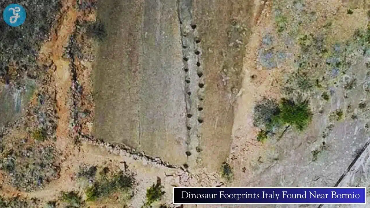dinosaur footprints Italy