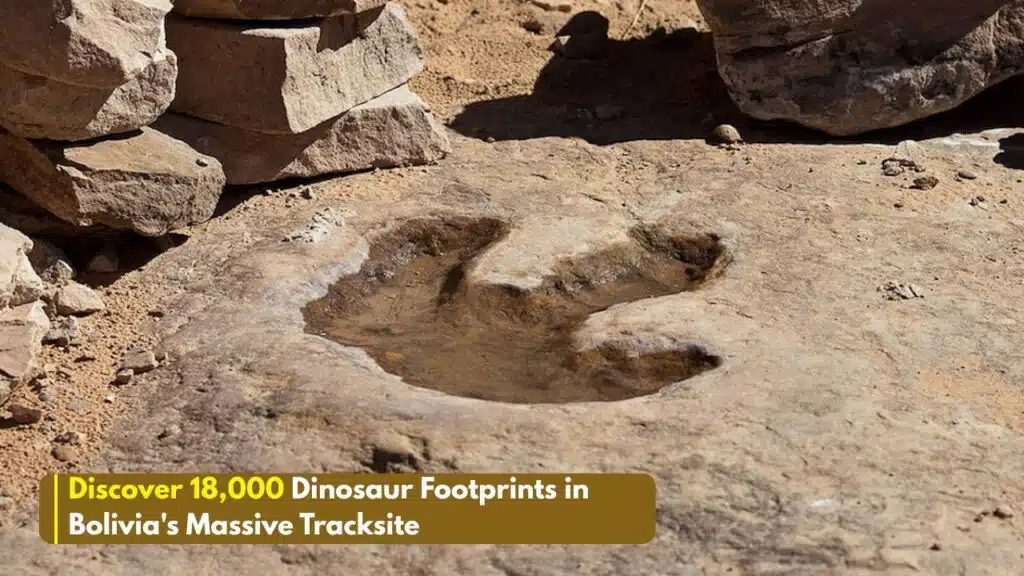 dinosaur footprints in bolivia