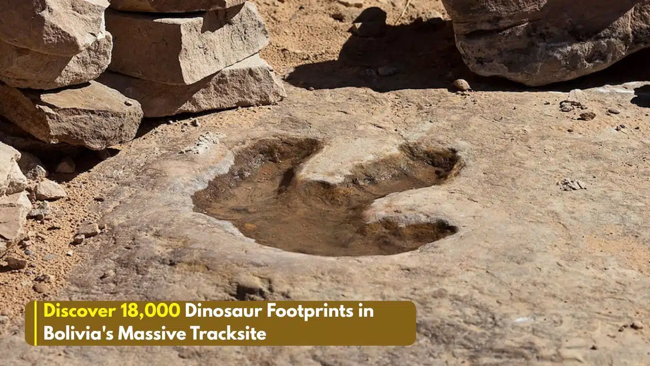 dinosaur footprints in bolivia