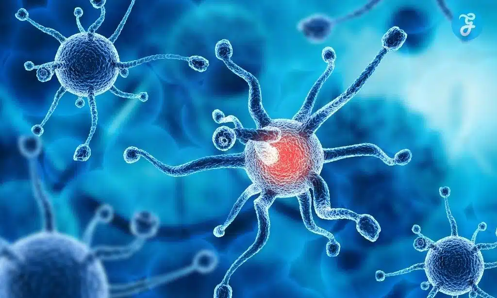gotistobart lung cancer drug