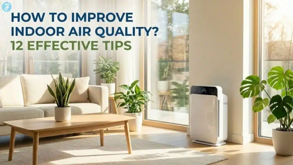 Modern living room with text overlay: How to Improve Indoor Air Quality? 12 Effective Tips.