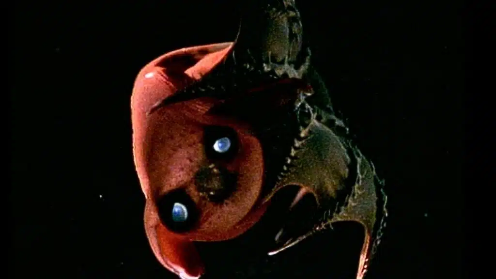 vampire squid genome