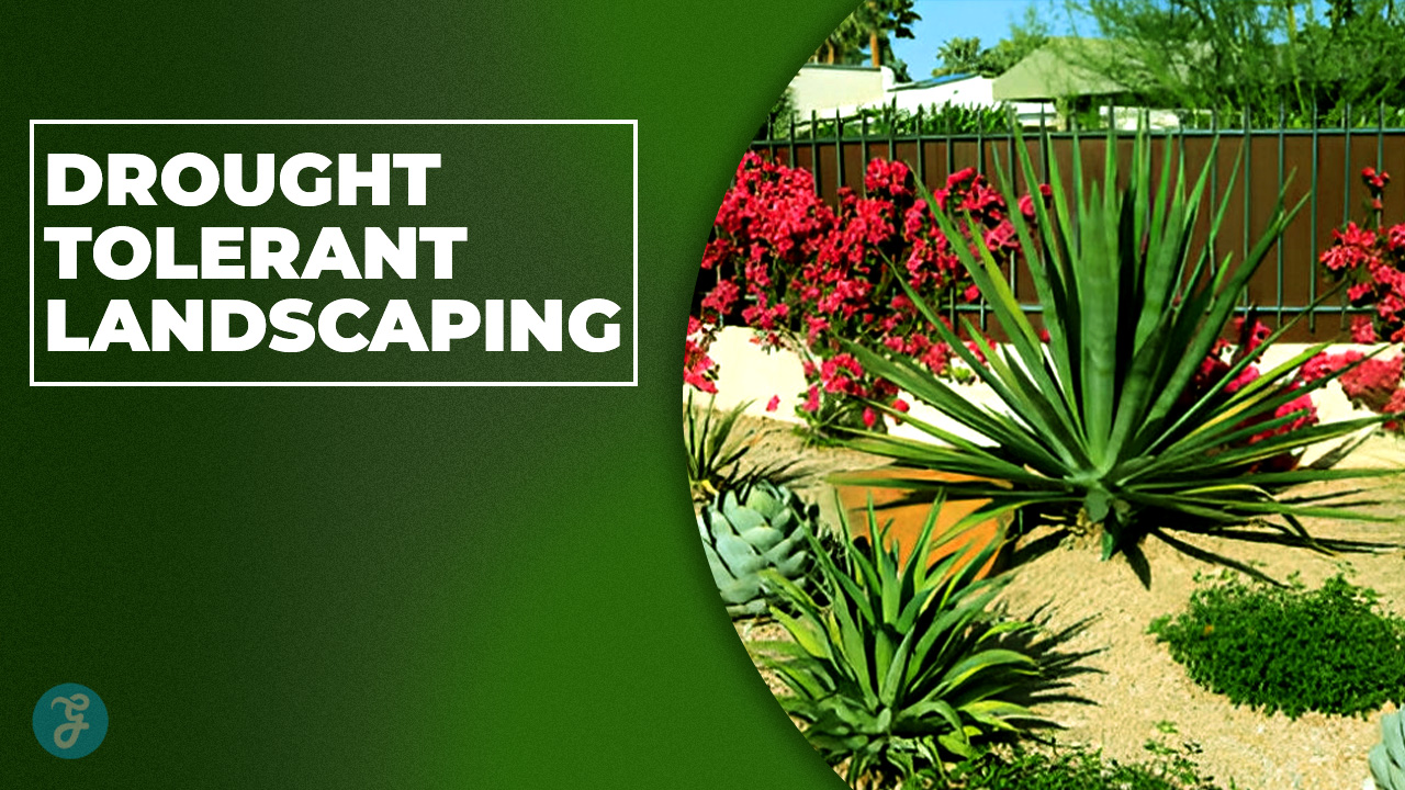 Drought-Tolerant Landscaping Xeriscaping for 2026