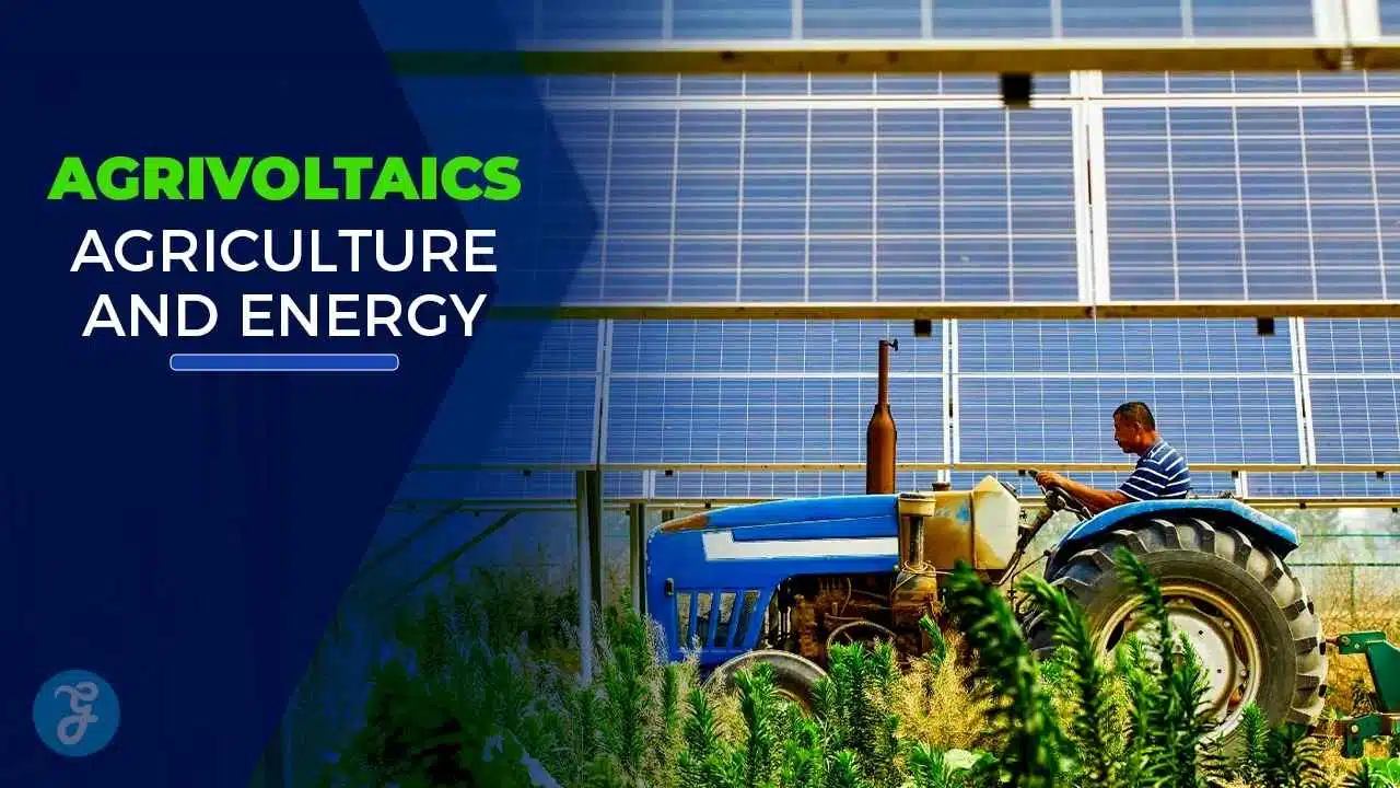 Future of Agrivoltaics in Sustainable Farming