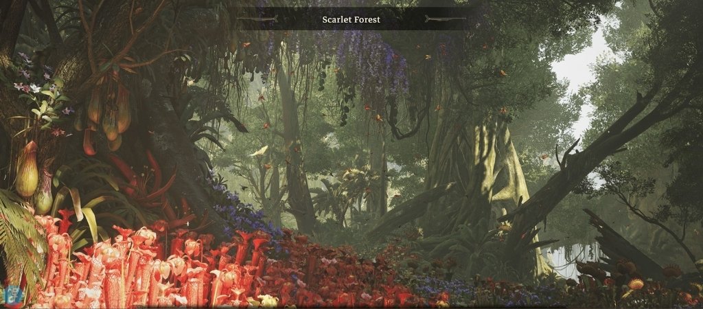 Scarlet Forest Scene