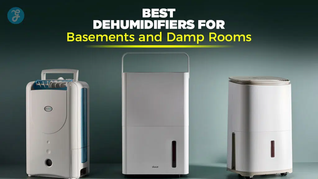 Best dehumidifiers for basements