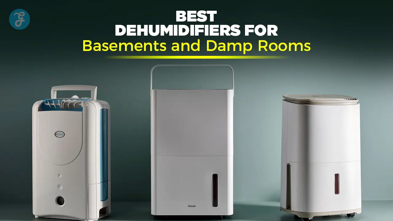 Best dehumidifiers for basements