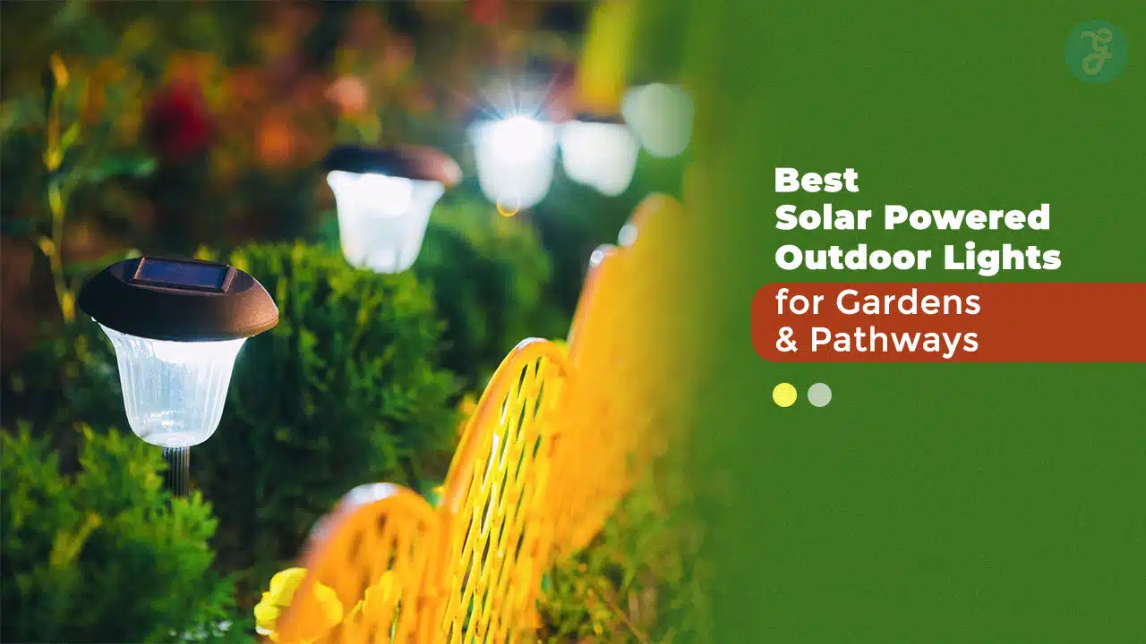 10 Best Solar Powered Outdoor Lights for Gardens and Pathways