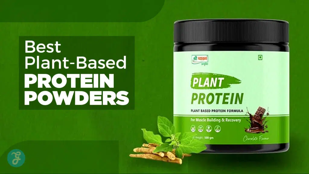 Best plant-based protein powders