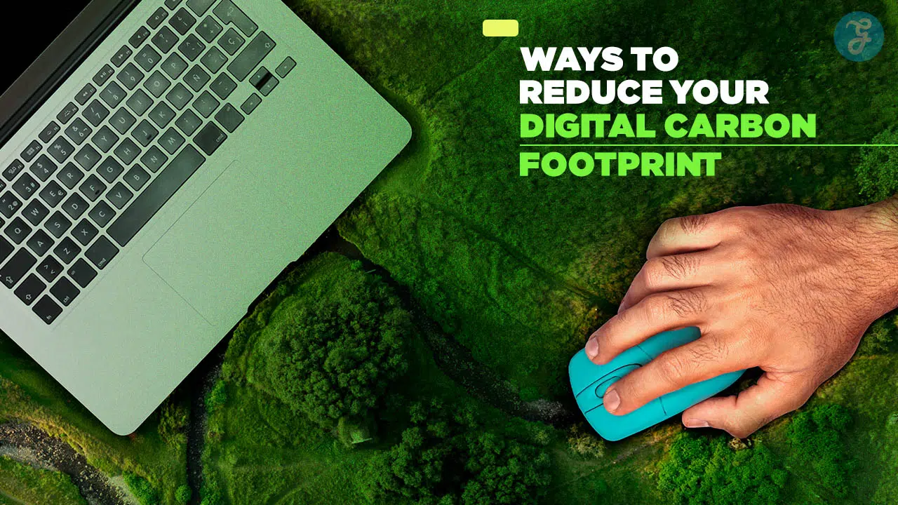 Reduce Your Digital Carbon Footprint
