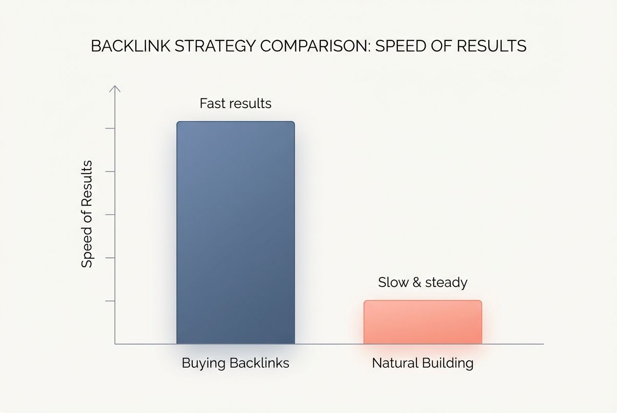 Benefits and Drawbacks of Each Approach
