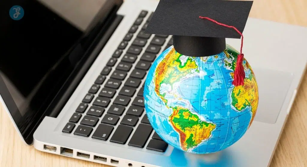 The Role of Policy in International Education