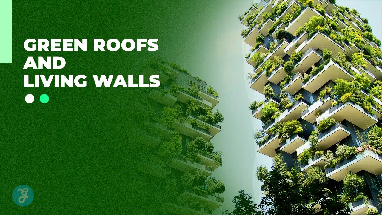 Green Roofs and Living Walls More Than Just Aesthetics