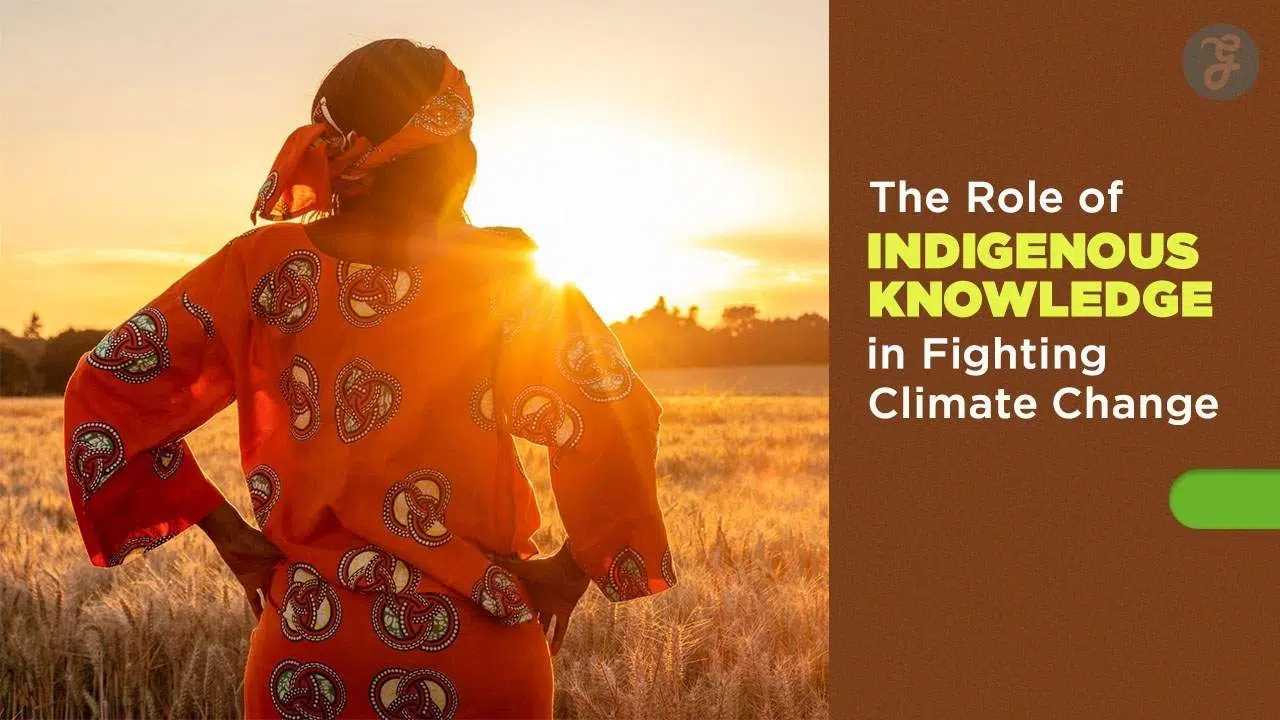 Indigenous Knowledge In Climate Change