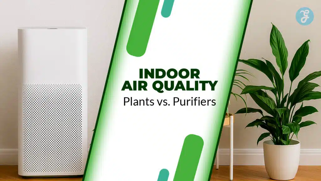 Indoor Air Quality Plants vs. Purifiers