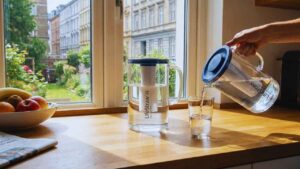 LifeStraw Home: Best for Bacteria and Parasites