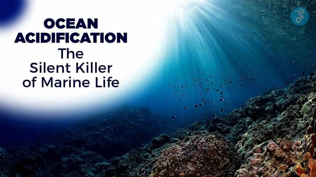 Ocean Acidification