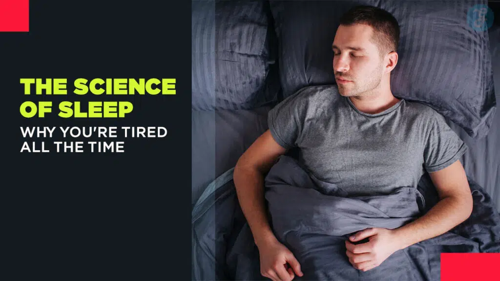 The Science of Sleep Why You're Tired All the Time