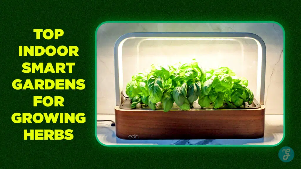 Top 5 Indoor Smart Gardens for Growing Herbs