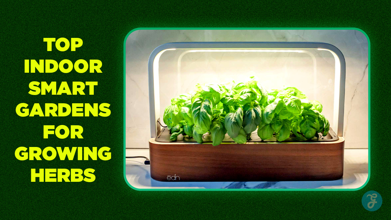 Top 5 Indoor Smart Gardens for Growing Herbs