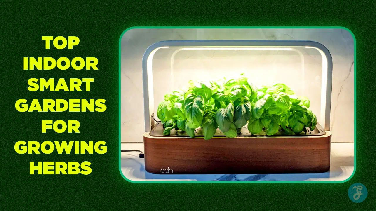 Top 5 Indoor Smart Gardens for Growing Herbs