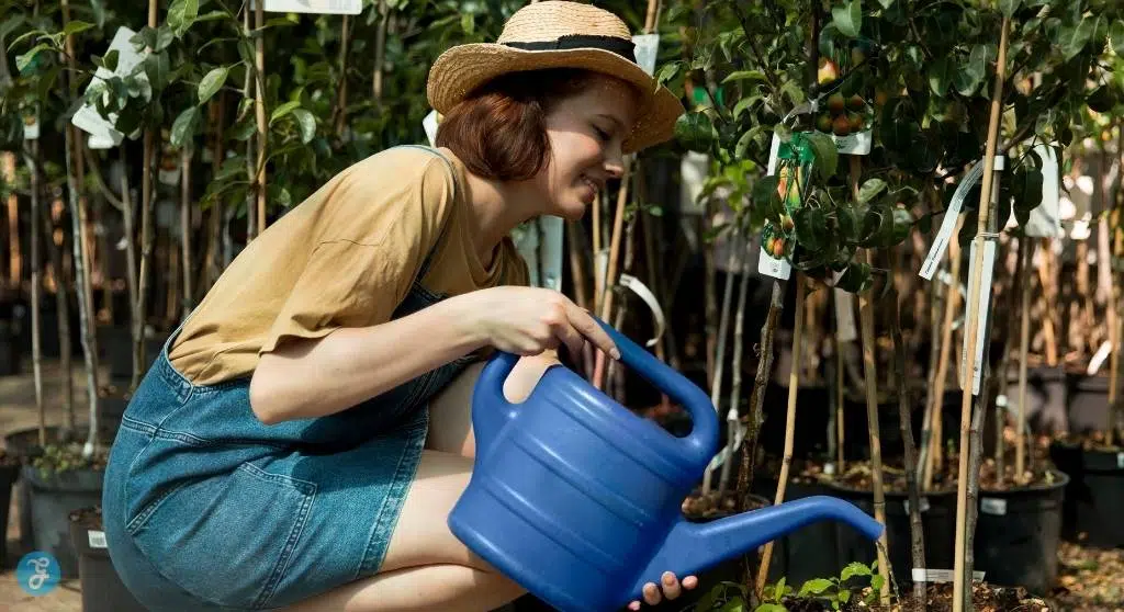 Water your garden early in the morning