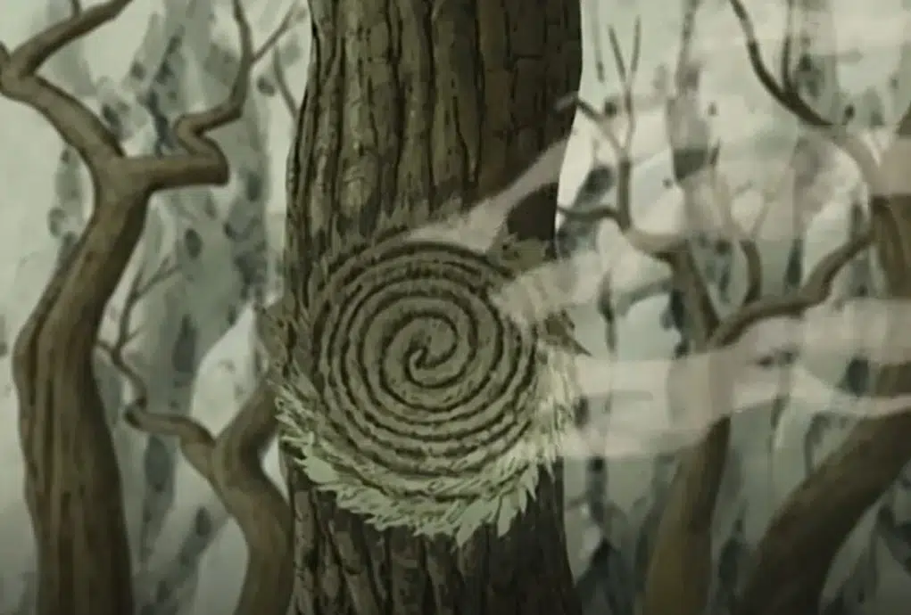 Impact on the Naruto Universe