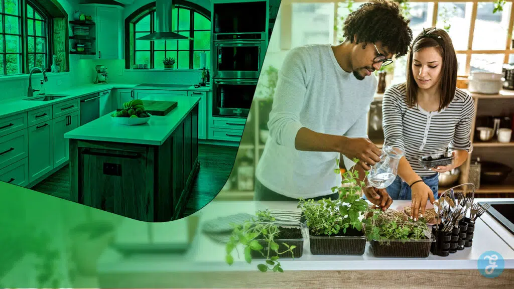 Eco-Friendly Kitchen Tips