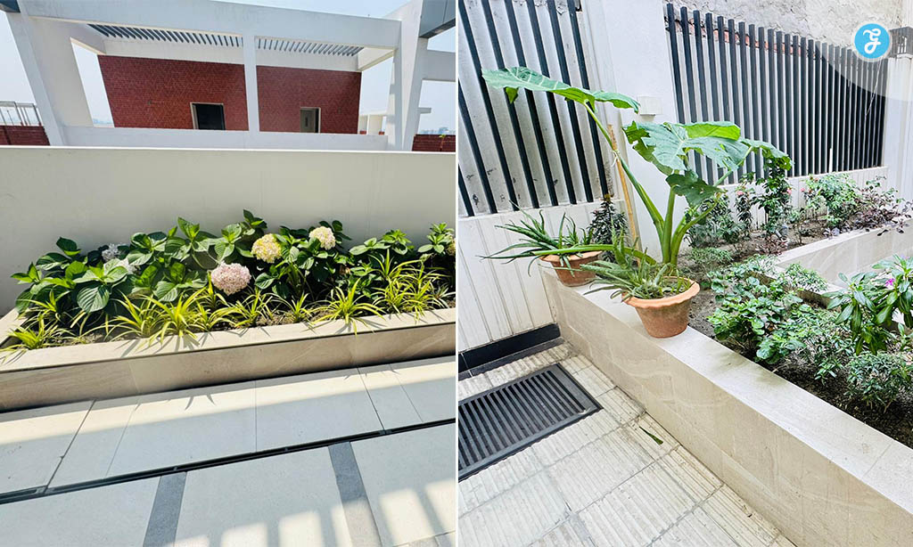 Urban Gardening for Mental Health: Anirban Pabak's Garden