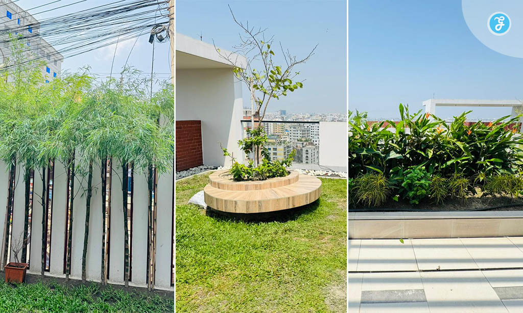 Urban Gardening in Dhaka