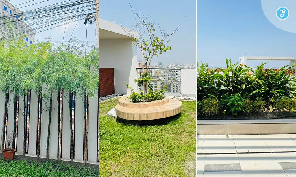 Urban Gardening in Dhaka