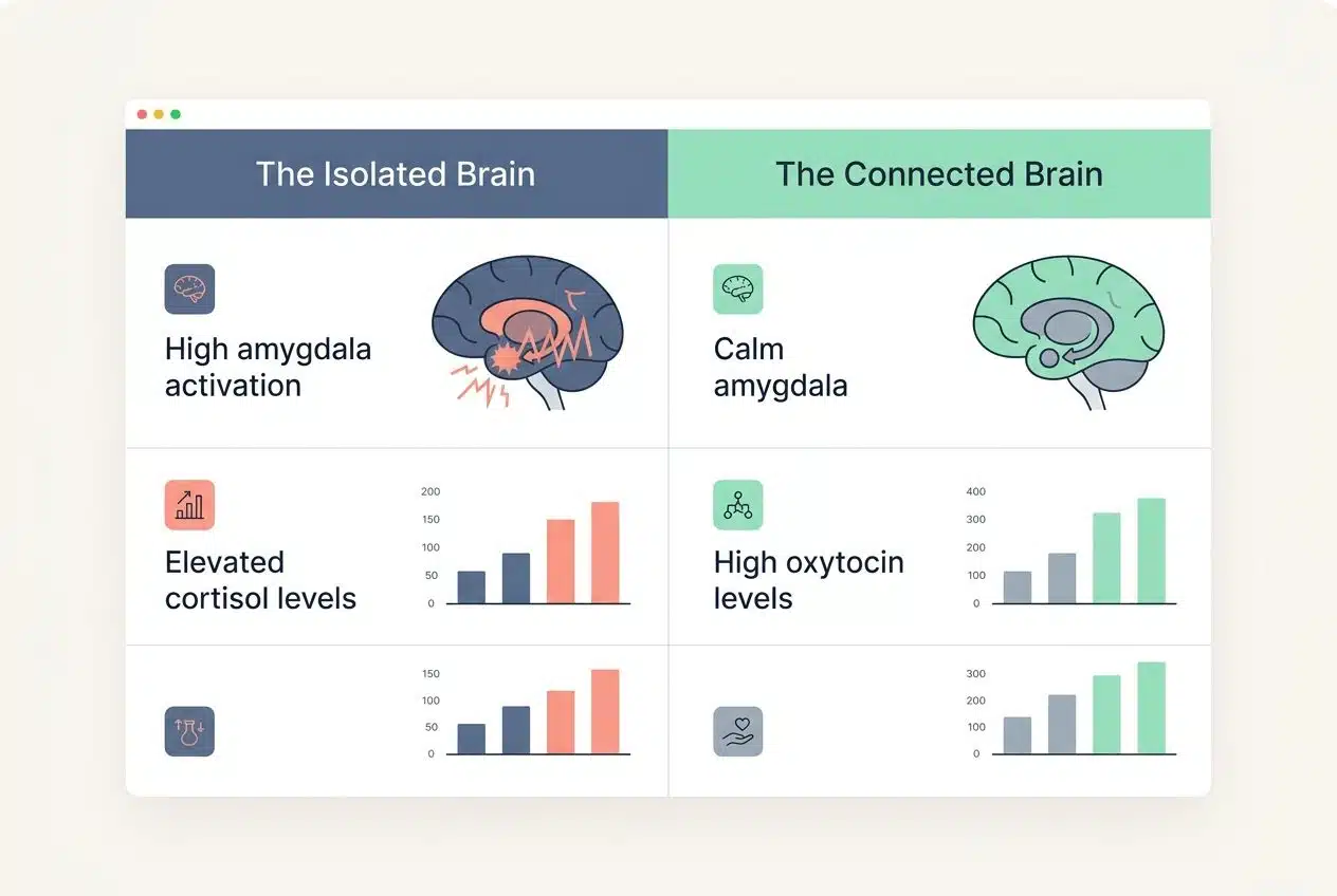 Reversing the science of Loneliness effects