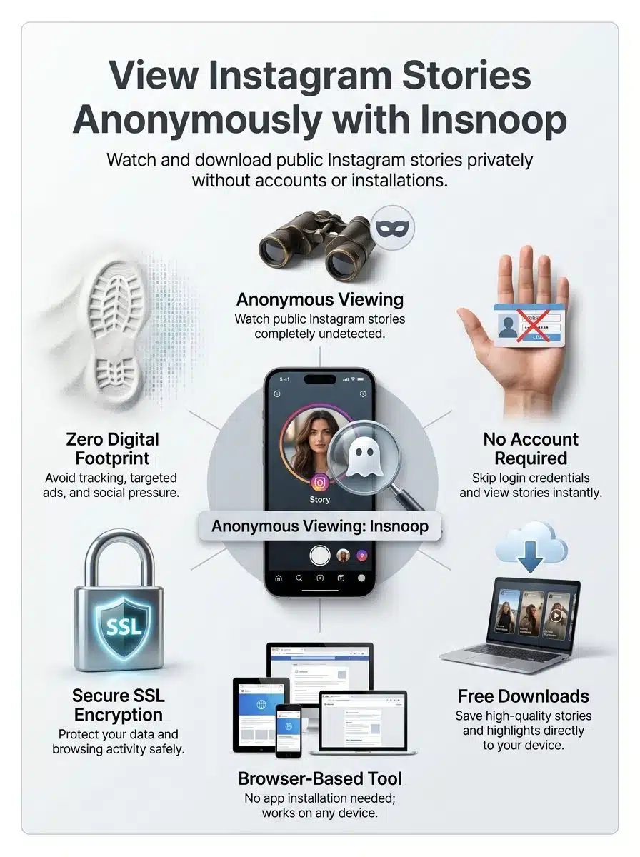 infographic-Insnoop-Your-Go-To-Anonymous-Instagram-Story-Viewer