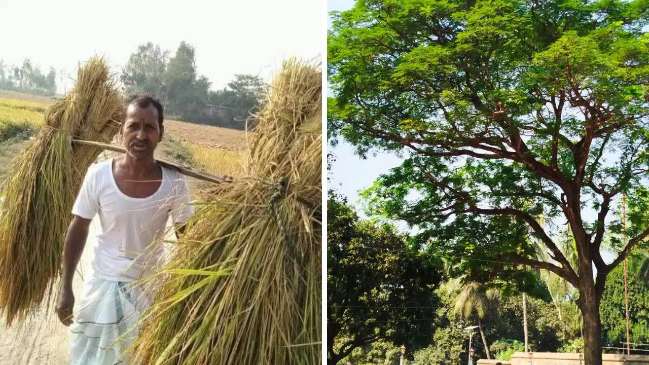 The Natural Life Outside Dhaka