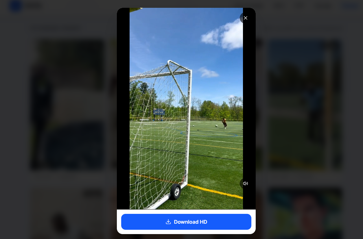 Download TikTok Stories or Videos Using DdTik
