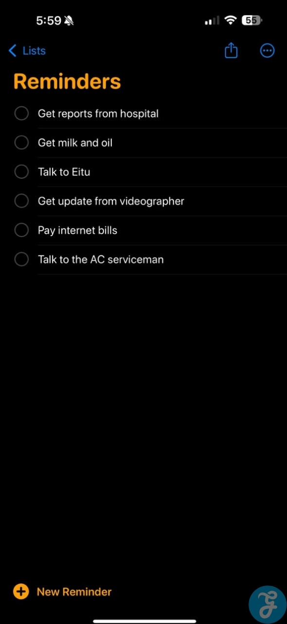 Apple Reminders app showing a personal daily checklist for organizing errands, calls, and important follow ups