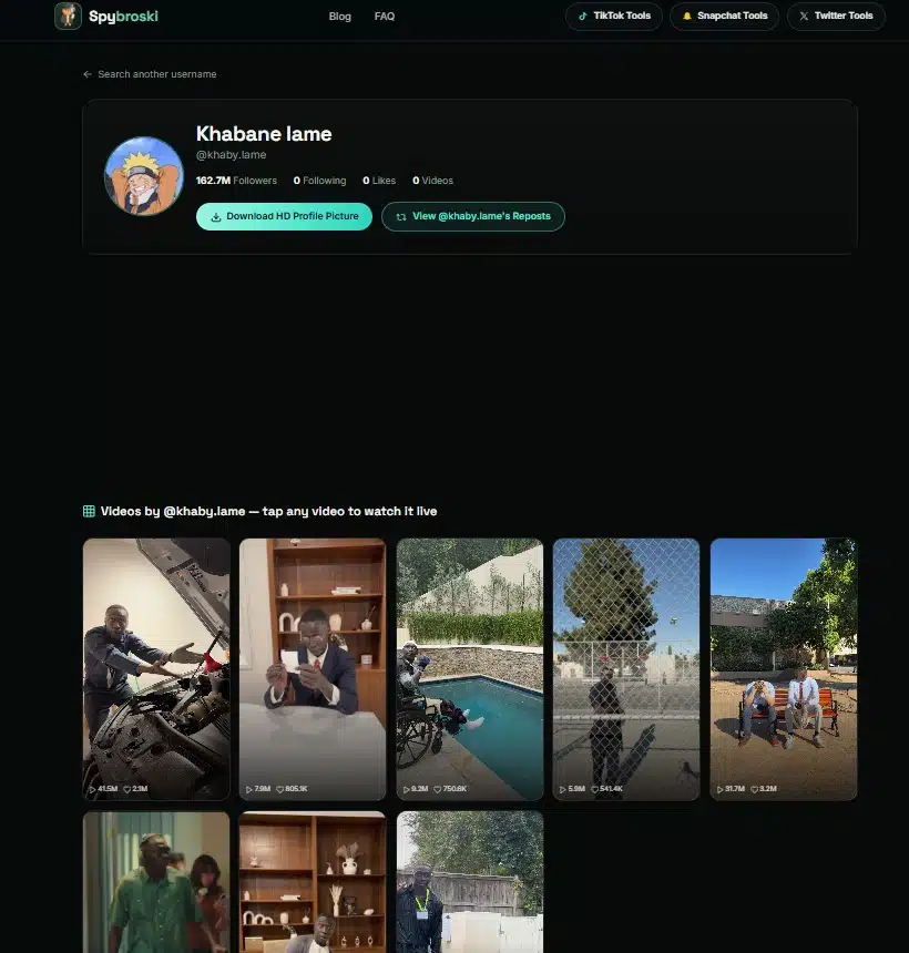 Spybroski Dashboard