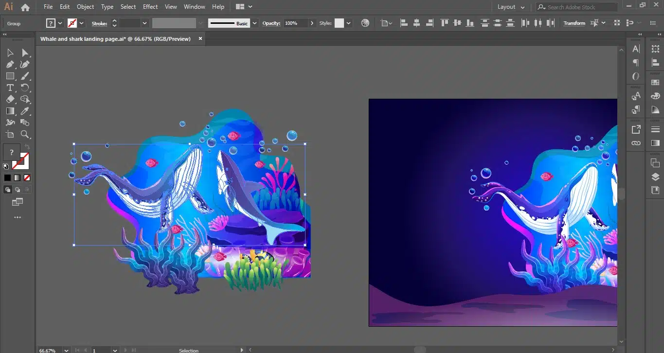 adobe illustrator