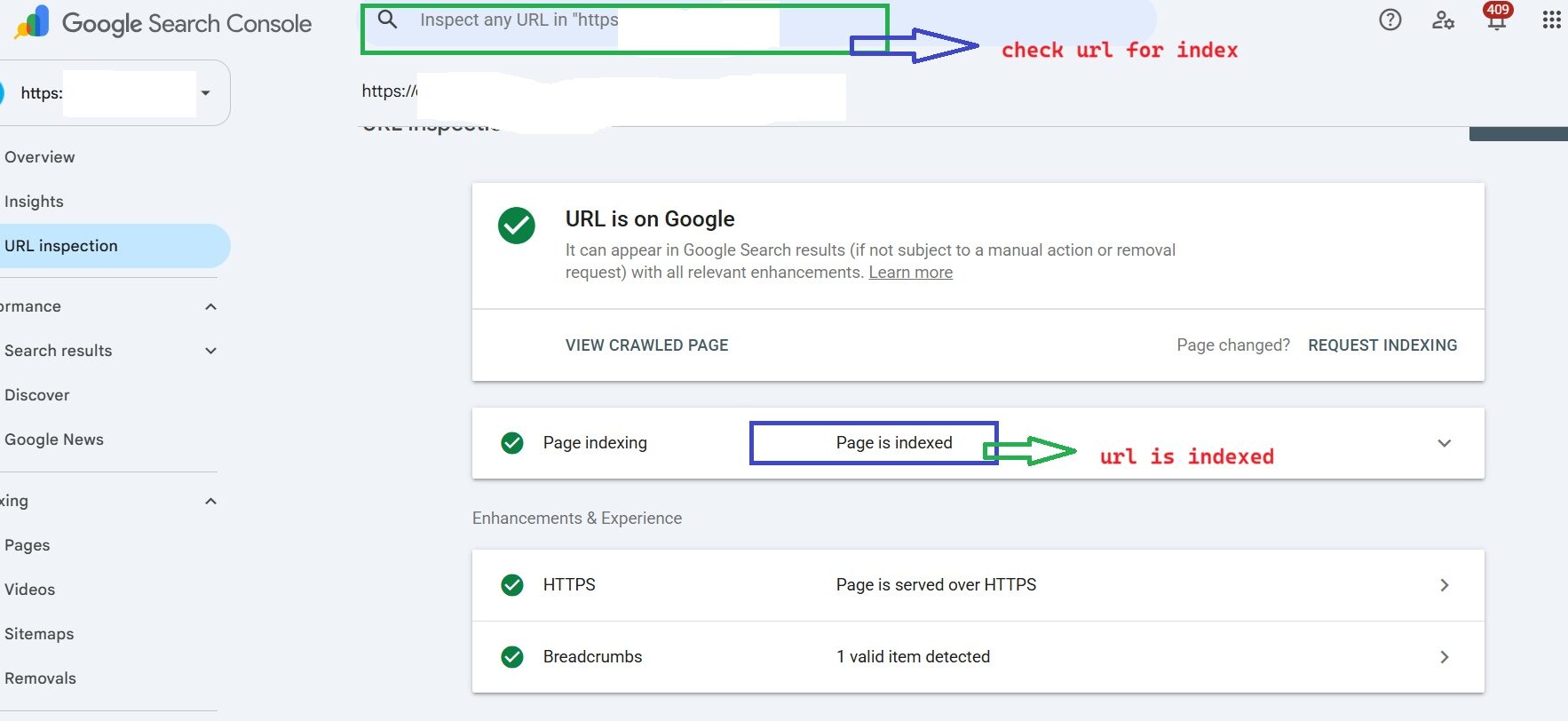 checking whether url is indexed or not