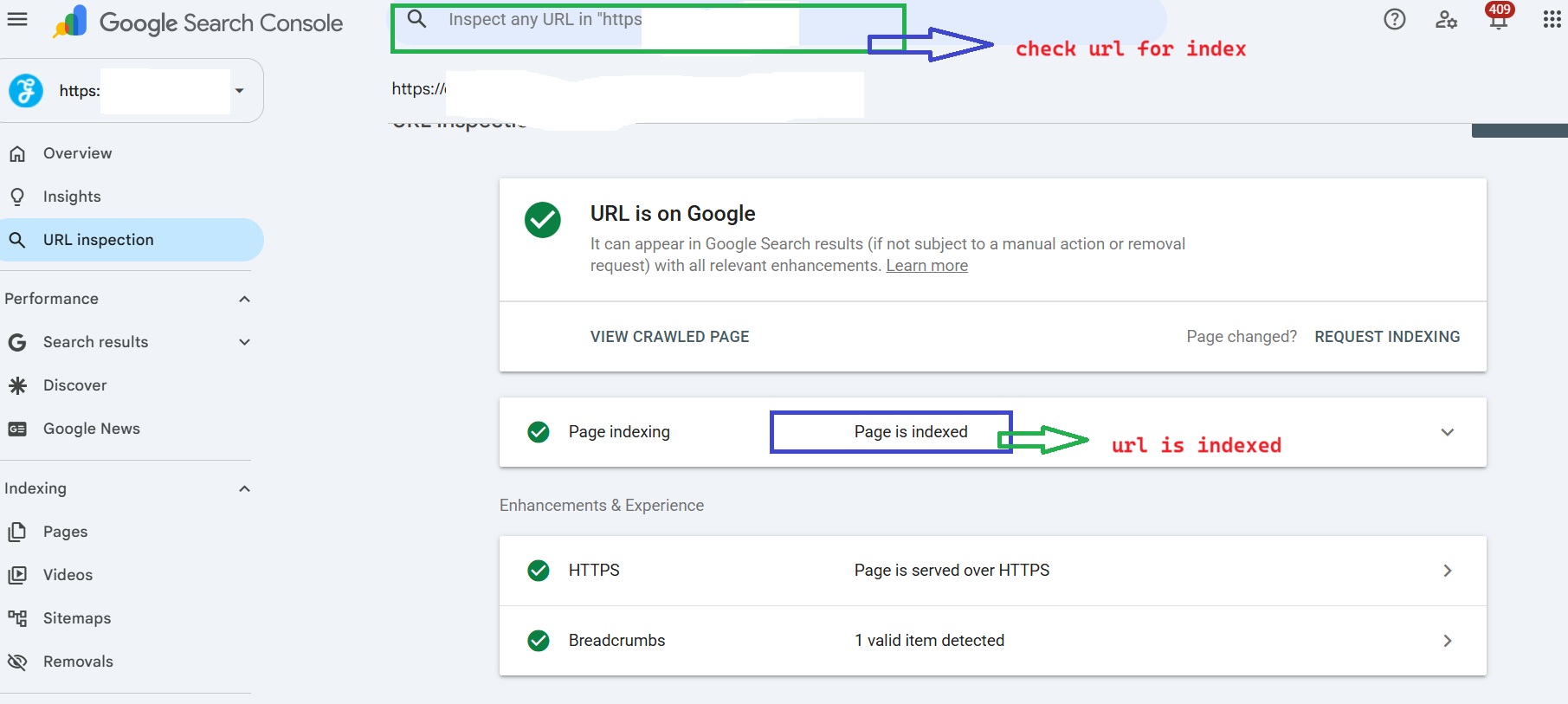 checking whether url is indexed or not