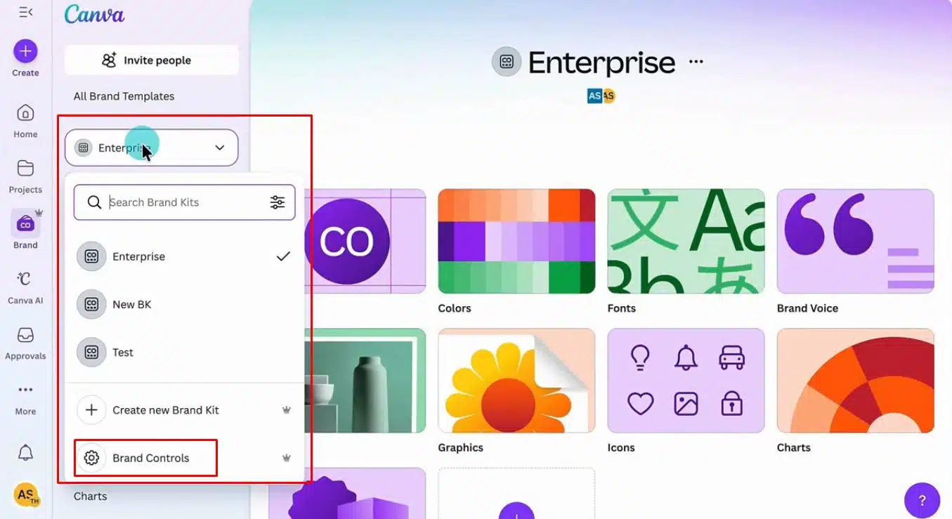 canva brand controls