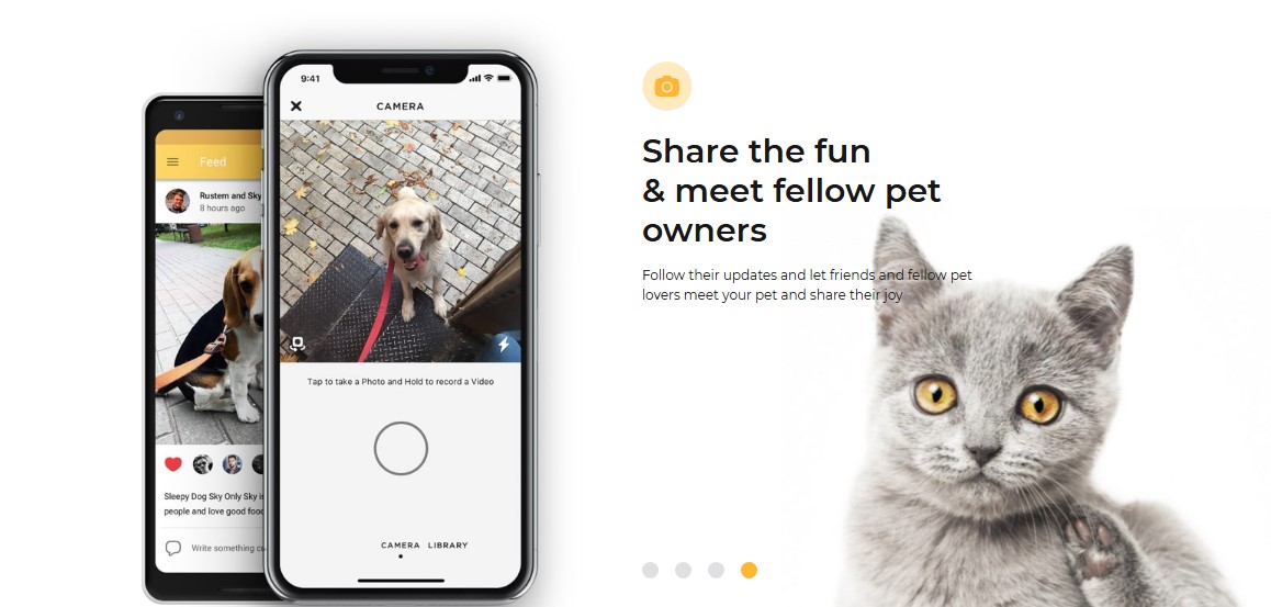 petcube app
